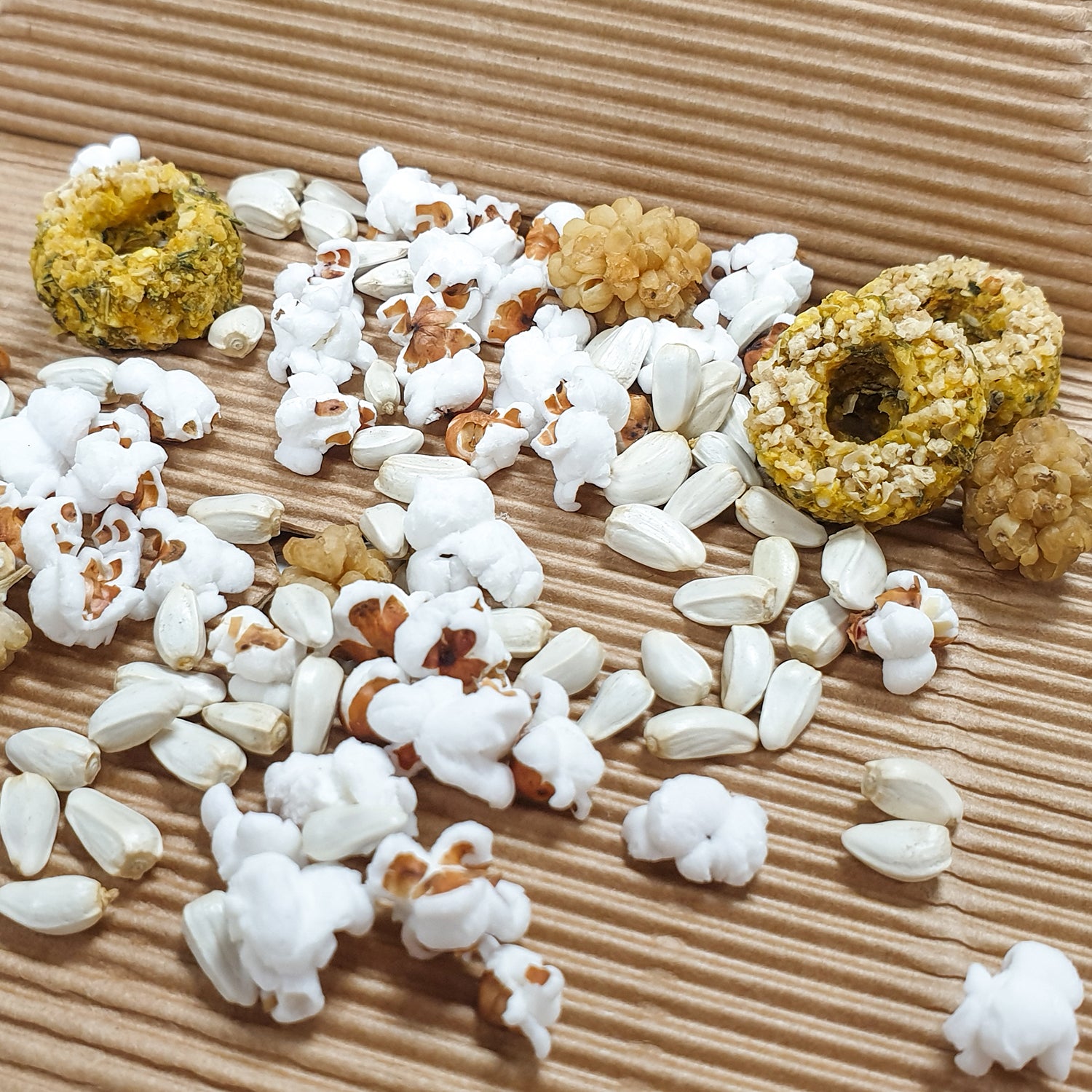 Boxy Snacktime HÖST