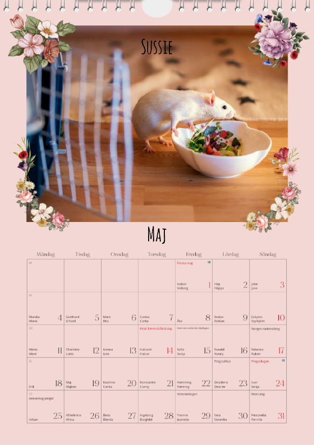 Råtthjälpens Väggalmanacka 2026