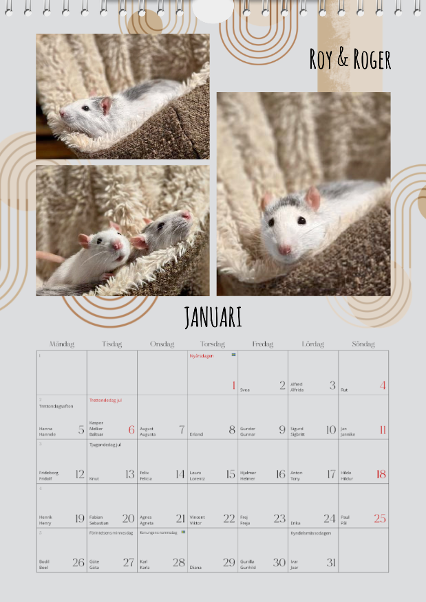 Råtthjälpens Väggalmanacka 2026